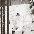 photo: Grobe rider: David