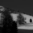 Freeridecamps.cz - Engadin